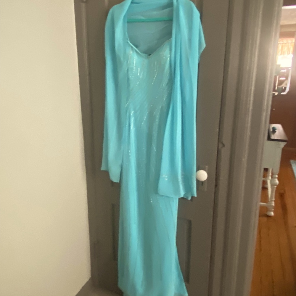Gorgeous Jasz Couture by Bella Evening Gown Size 12